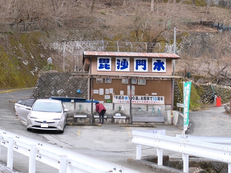 早春の秩父路へ～♪”福寿草・秩父紅”と”セツブンソウ
