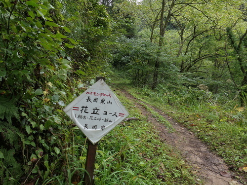 低山ハイキング『鋸山』（長岡市）を楽しむ～♪: 八重咲日本